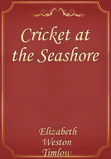 Cricket at the Seashore