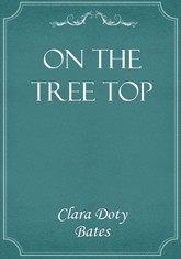 On the Tree Top 표지 이미지