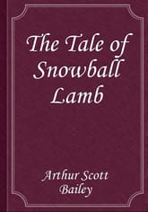 The Tale of Snowball Lamb 표지 이미지
