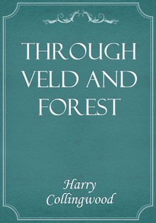 Through Veld and Forest