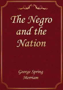 The Negro and the Nation