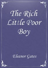 The Rich Little Poor Boy 표지 이미지