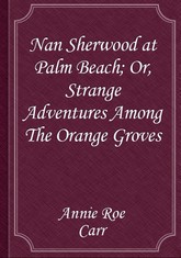 Nan Sherwood at Palm Beach; Or, Strange Adventures Among The Orange Groves 표지 이미지