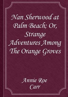 Nan Sherwood at Palm Beach; Or, Strange Adventures Among The Orange Groves