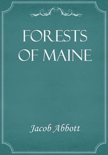 Forests of Maine