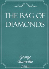 The Bag of Diamonds 표지 이미지