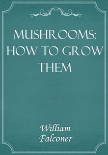 Mushrooms: how to grow them