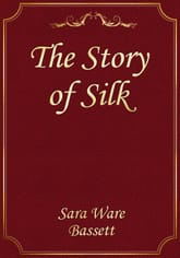 The Story of Silk 표지 이미지