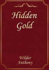 Hidden Gold 표지 이미지
