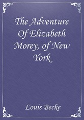 The Adventure Of Elizabeth Morey, of New York 표지 이미지