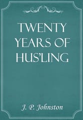 Twenty Years of Hus'ling 표지 이미지