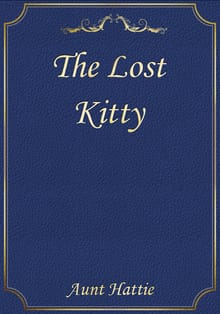 The Lost Kitty