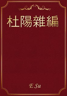 杜陽雜編