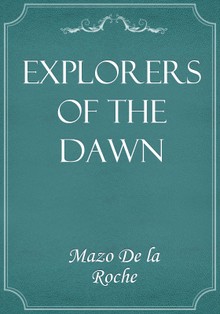 Explorers of the Dawn