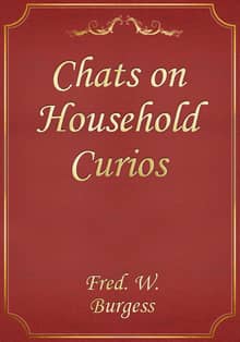 Chats on Household Curios