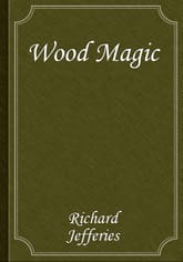 Wood Magic 표지 이미지