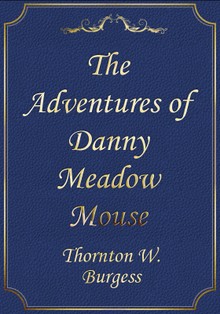The Adventures of Danny Meadow Mouse