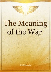 The Meaning of the War 표지 이미지
