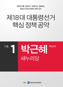 2012 대선 후보 공약 - 박근혜