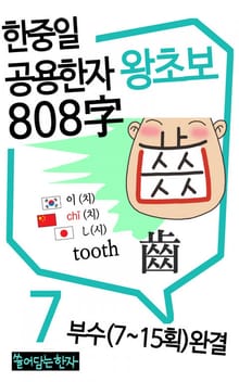 왕초보 한중일 공용한자 808자 세트