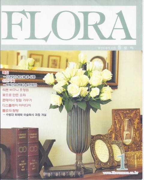 월간 FLORA 2001년 세트 표지 이미지