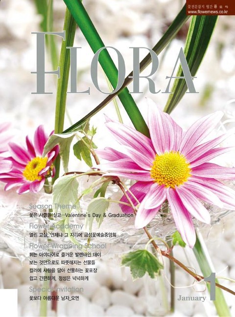 월간 FLORA 2006년 세트 표지 이미지