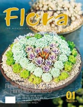 월간 FLORA 2010년 세트 표지 이미지