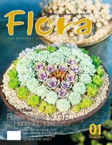 월간 FLORA 2010년 세트