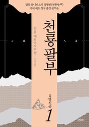 천룡팔부 세트 (전 11권)