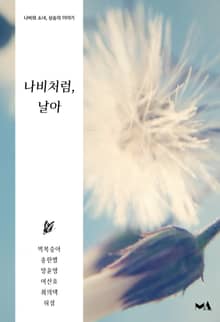 나비처럼, 날아 (세트)
