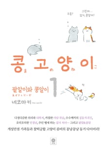 콩고양이 세트