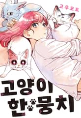 [완결 세트] 고양이 한 뭉치 표지 이미지
