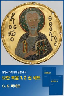 알맹e 크리티카 성경 주석 요한복음 1, 2권 세트
