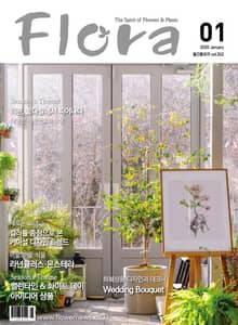 월간 FLORA 2020년 세트