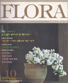 월간 FLORA 2000년 세트