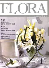 월간 FLORA 2002년 세트 표지 이미지