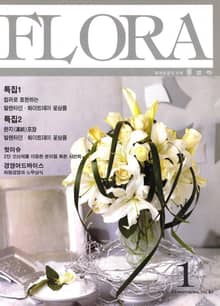 월간 FLORA 2002년 세트