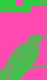 [50년 대여] 한국 시집 초간본 100주년 기념판 세트 (전 16권) 표지 이미지