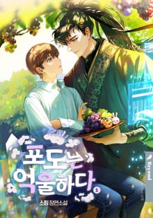 <포도는 억울하다> 세트