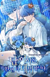 <탑 아이돌, 한 번 더 데뷔합니다> 세트 표지 이미지