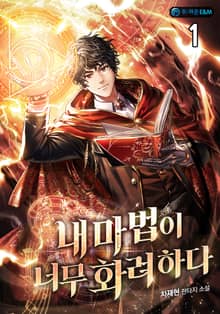 <내 마법이 너무 화려하다> 세트