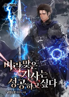 <벼락 맞은 기사는 성공하고 싶다> 세트