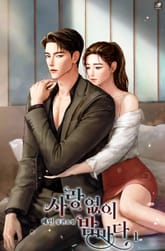 <사랑 없이 밤마다> 세트 표지 이미지