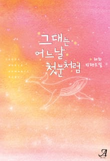 <그대는 어느 날 첫눈처럼> 세트