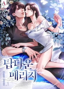 <탑다운 매리지> 세트