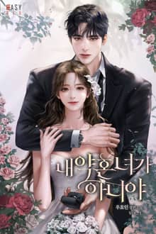 <내 약혼녀가 아니야> 세트