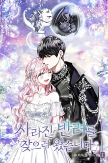 <사라진 반려를 찾으러 왔습니다> 세트