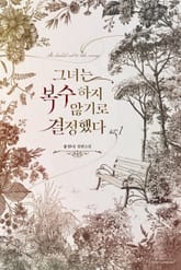 <그녀는 복수하지 않기로 결정했다> 세트 표지 이미지