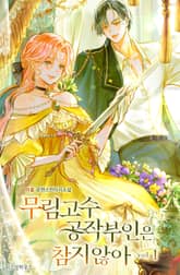 <무림고수 공작부인은 참지 않아> 세트 표지 이미지