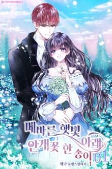 <메마른 햇빛 아래, 안개꽃 한 송이> 세트